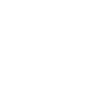 v-lehkosti_logotype_WHITE v-lehkosti_logotype_WHITE
